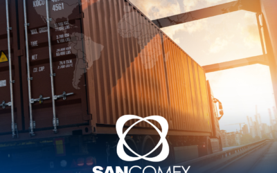 Modal Rodoviário Internacional: quando essa é a melhor opção para importar e exportar?